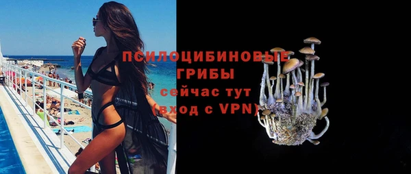 стафф Дмитровск