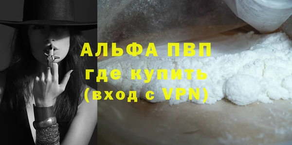 стафф Дмитровск